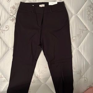 Loft dress pants